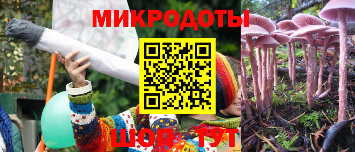 Галлюциногенные грибы Psilocybe Гусев