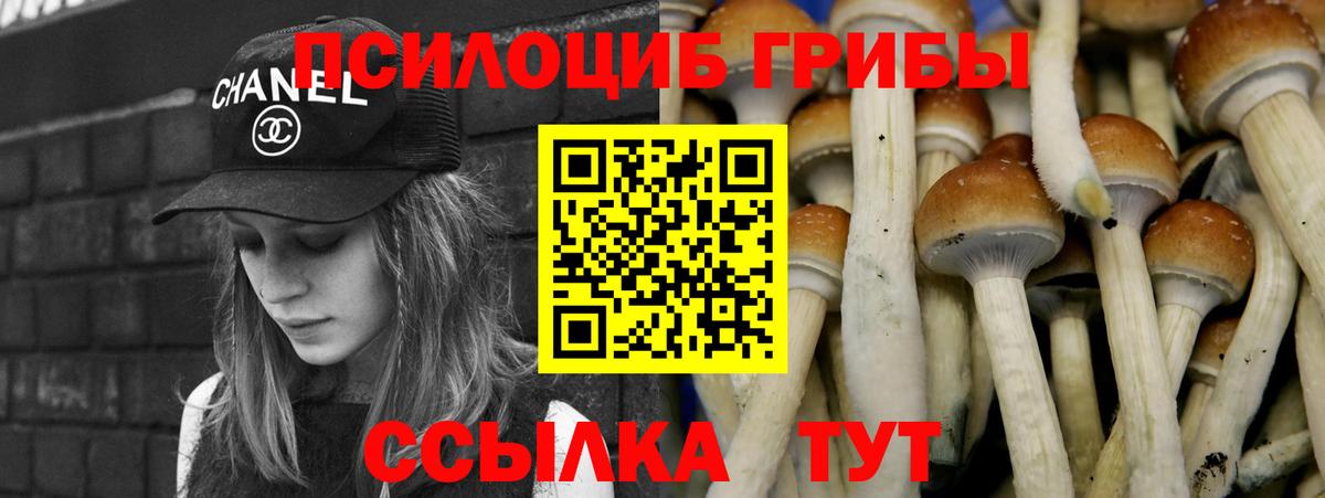 Галлюциногенные грибы ЛСД  Галлюциногенные грибы ЛСД  Вход с VPN  цены   Гусев 